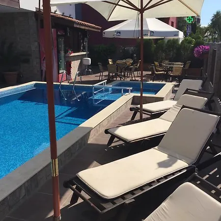 The White Complex 네세부르