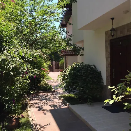 The White Complex 네세부르